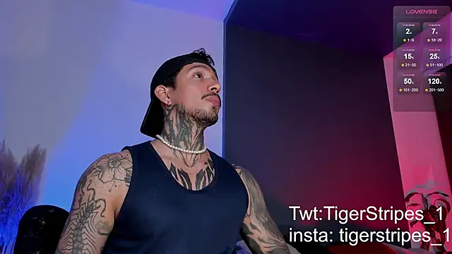 TigerStripes1  online show from March 2025 12:25:02 AM