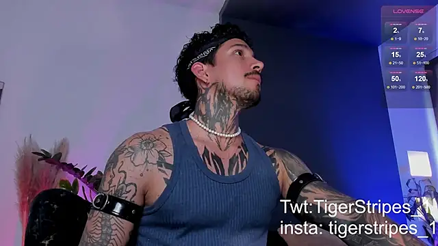 TigerStripes1  online show from March 2025 08:54:01 PM