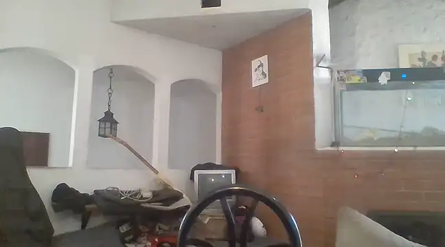 Stevenson988 online show from December 2024 06:01:02 PM