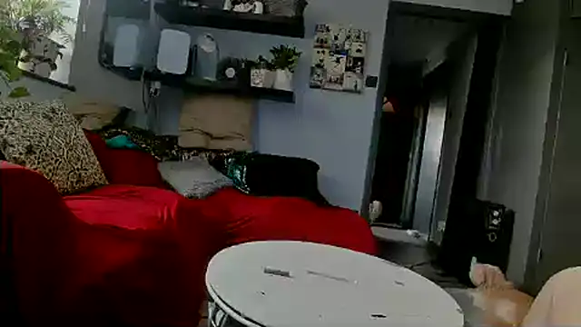 Degusta avo online show from December 2024 02:30:01 PM