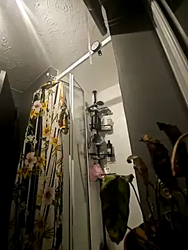 Degusta avo online show from March 2025 02:35:02 AM