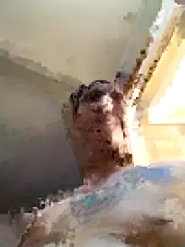 golfodecortes online show from December 2025 09:13:02 PM