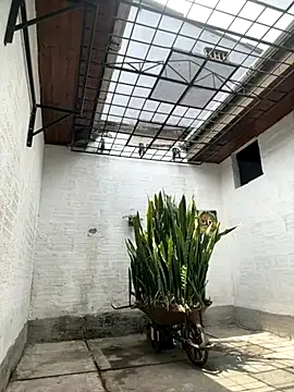 Snapshot of oliver_price1 chatting on October 2025 04:04:01 PM oliver price1 online show from October 2025 04:04:01 PM