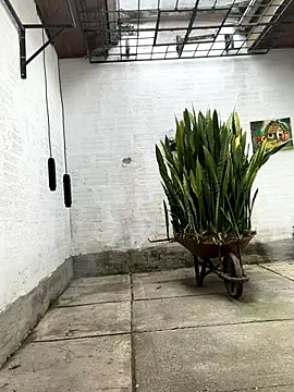 Snapshot of oliver_price1 chatting on October 2025 03:13:01 PM oliver price1 online show from October 2025 03:13:01 PM