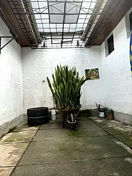 Snapshot of oliver_price1 chatting on October 2025 07:18:01 PM oliver price1 online show from October 2025 07:18:01 PM