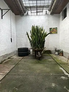 Snapshot of oliver_price1 chatting on November 2025 09:14:01 PM oliver price1 online show from November 2025 09:14:01 PM