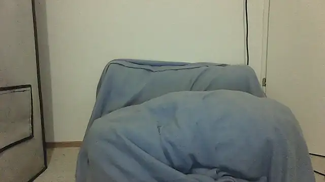 GeilerBull online show from November 2025 11:47:01 PM